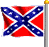 Rebel Flagvsgshs
